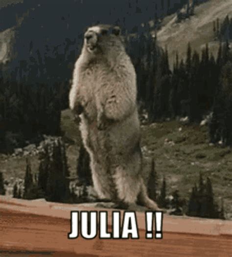Image result for Julia Programming Language Meme