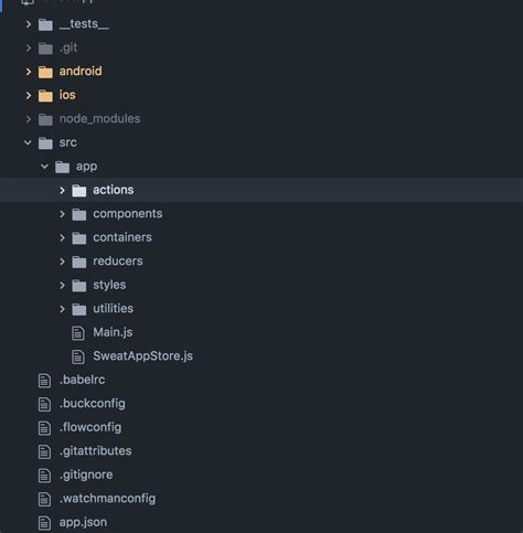 Toradh íomhá ar File Structure for React Native