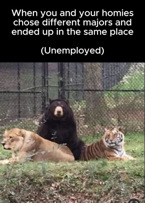 Image result for Umemployed vs Employed Meme