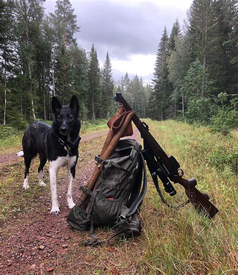 Toradh íomhá ar Koen Hunting
