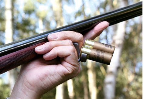 Toradh íomhá ar Speedloader Swift