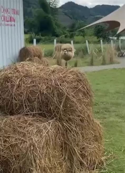 How to Get Logged Out Permanent in Roblox ಗಾಗಿ ಇಮೇಜ್ ಫಲಿತಾಂಶ