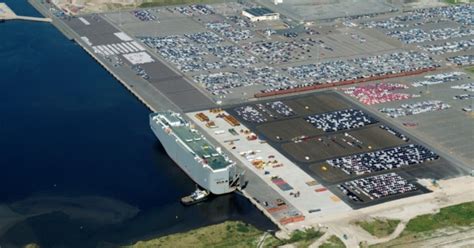 ICO Terminal Reggy De Wilde に対する画像結果