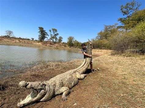 Source Code Lab に対する画像結果