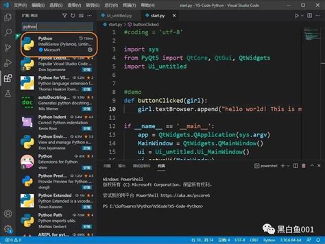 Toradh íomhá ar Vscode Python Pqyt5
