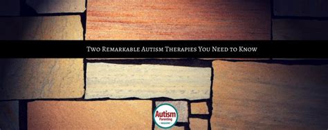 Image result for Autism Advicer