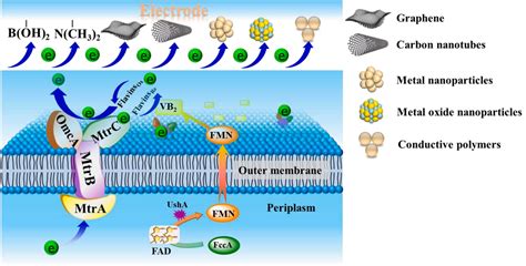 Eet Hind に対する画像結果