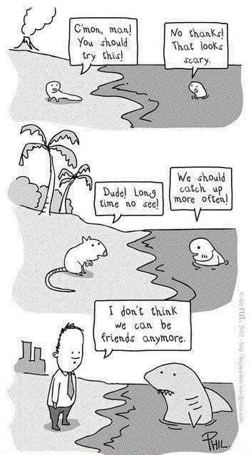 Image result for Evolution Cartoon Jokes