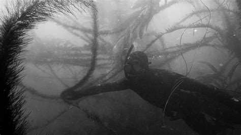Toradh íomhá ar Stack of 805 Beer Cases