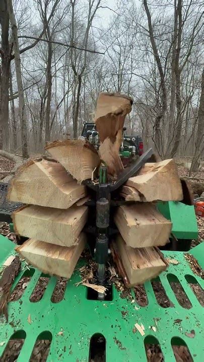 Afbeeldingsresultaten voor 8-Way Log Splitter