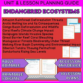 Secondary Art History Unit Lesson Plan-এর ছবি ফলাফল