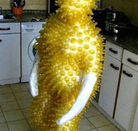 Image result for Cursed Outfits