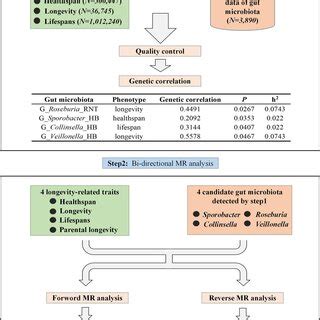 Image result for Mendelian Randomization Studies