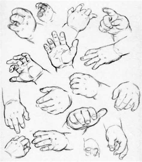 Toradh íomhá ar Artist Hand Reference