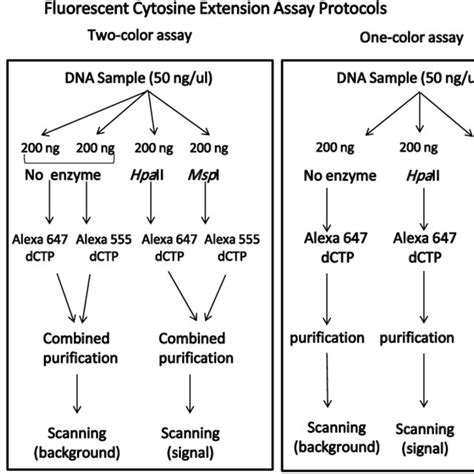 Image result for Cea Extension Block