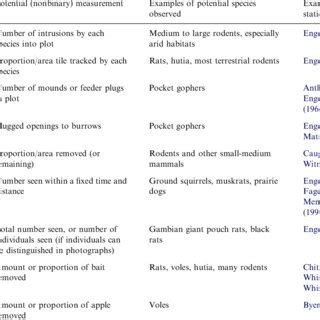 Toradh íomhá ar Rodents Examples
