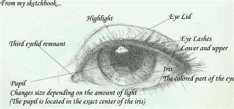 Image result for Excel Eye Diagram