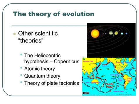 Image result for Scientific Theory of Evolution