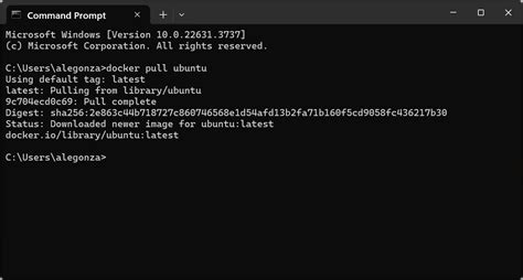 Docker Create Ubuntu Container Command に対する画像結果