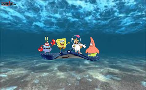 Image result for Finding Nemo Spongebob