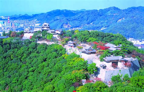 Image result for 松山 城