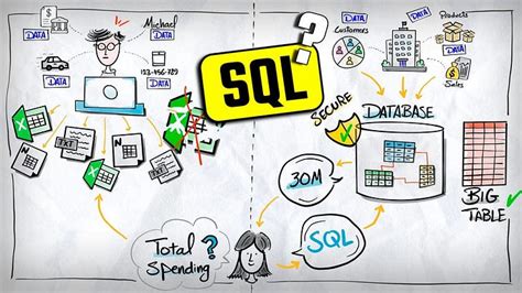 Data with Baraa SQL に対する画像結果