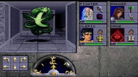 Image result for First Person Dungeon Crawler