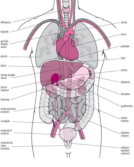 Afbeeldingsresultaten voor Baby Crochet Patterns