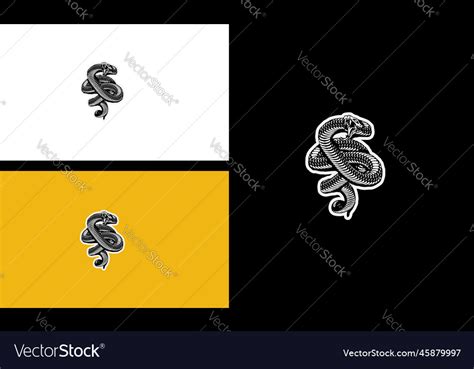 Image result for King Cobra Fangs