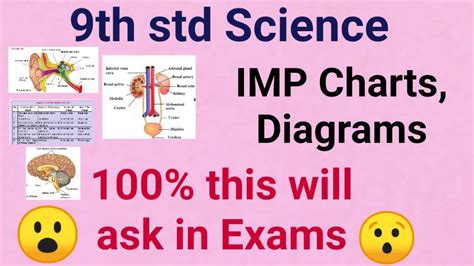 Toradh íomhá ar 9th Science Daigrams