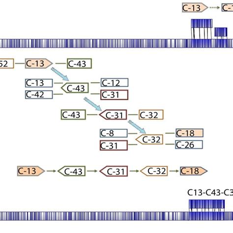 Toradh íomhá ar Contig Alignment Diagram