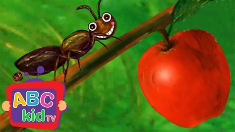 Toradh íomhá ar Learning ABC