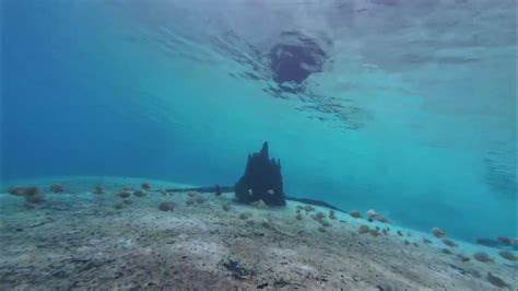 Toradh íomhá ar Scuba Tech Diving Dpv