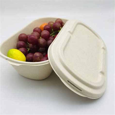 Image result for Compostable Food Containers