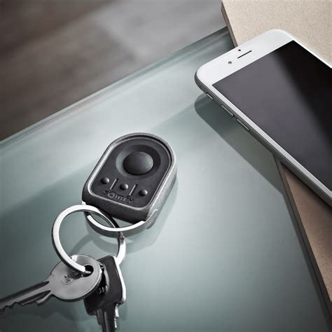 Afbeeldingsresultaten voor Telecommande Somfy Keygo