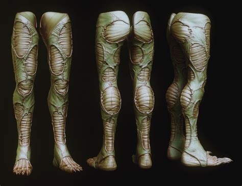 Image result for Creature Legs Reference 3D Model