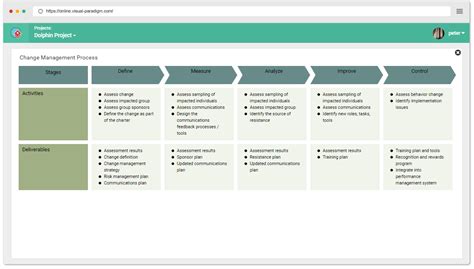 Afbeeldingsresultaten voor CMMI Change En Release Process Template