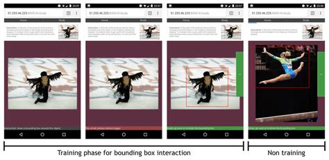 Image result for Bounding Training