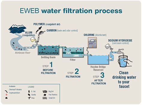 How Filtration Works に対する画像結果