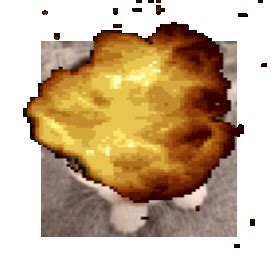 Image result for Nuke Explosion Cat Face Meme
