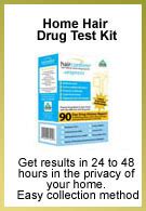 Image result for Hair Sample Drug Test