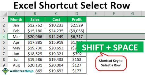 Image result for Keyboard Shortcut to Insert Entire Row in Excel