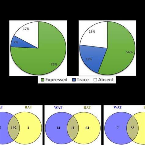 Afbeeldingsresultaten voor Wat Adipose Tissue