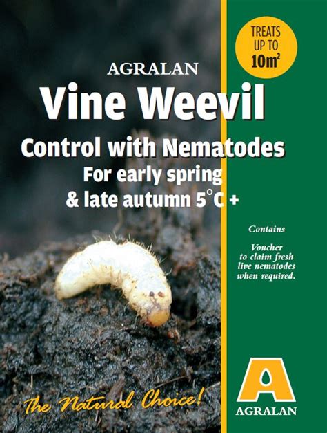 Weevil Control に対する画像結果