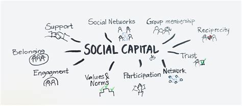 Image result for Networking and Social Capital