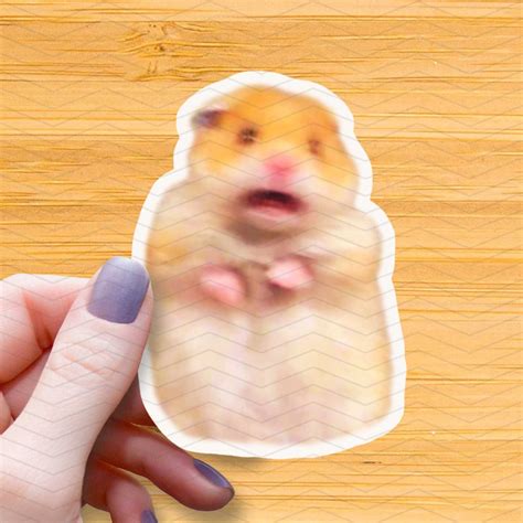 Image result for Frightened Hamster Meme