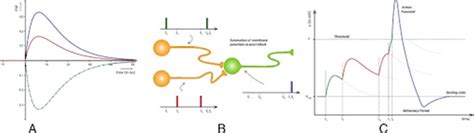 Image result for Spiking Neural Network SNN