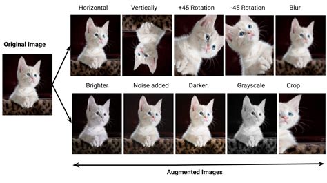 Image result for What's Data Augmentation