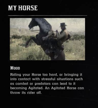 Toradh íomhá ar Red Dead Redemption Pause Menu