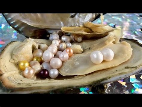 Afbeeldingsresultaten voor Getting Pearls Out of Shell